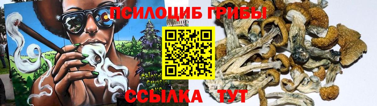 что такое наркотик  Псилоцибиновые грибы MAGIC MUSHROOMS  Вход с VPN  Борзя 